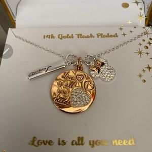 Disney "love is all you need" necklace silver and gold 18" chain